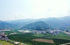 南昌西湖区：精准施策精细落实 环境质量稳中向好