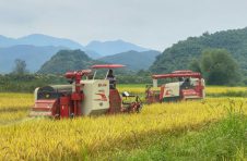 江西实施水稻生产全程机械化“补短板”行动,探索“政府引导、市场主导、资本融入、社会参与”的运行机制