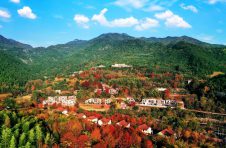 大余县丫山旅游度假区致力打造成为中国文旅品牌样板