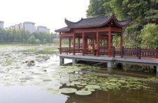 九江市浔阳区投资约800万元整治袁家湖环境，现是市民休闲、娱乐、健身的好去处