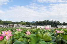 资溪县入选第五批“绿水青山就是金山银山”实践创新基地，共青城、石城县、吉安县、广昌县入选生态文明建设示范区