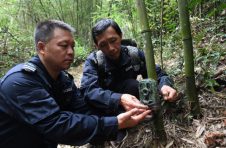 江西靖安：守护“物种基因库”的“生态卫士”