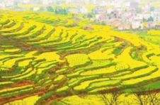 江西省莲花县南岭乡推进现代化强乡建设纪实