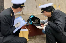 新余海关签发首张出境宠物“动物护照”