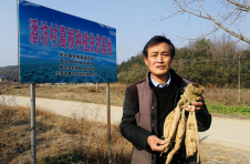 江西德安：“葛”里不能没有你