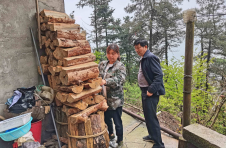 王翠红：森林里的“女医生” 冲锋在前不畏难