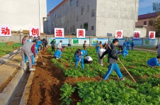 江西抚州东乡区：播下“劳动光荣”的种子