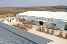 江西南昌新建区：“扶贫板鸭”再升级 乡村振兴正当时