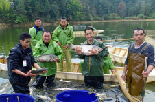 江西全南：春节需求旺 捕鱼庆丰收