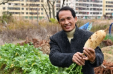 江西兴国：“小菜园”种出“大民生”