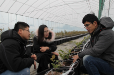 江西赣州南康区：蓝莓全基质栽培高产又增收