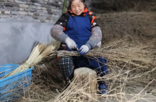 江西樟树：小扫帚编出致富大梦想