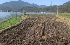 江西上饶广信区：黄沙岭沃土 致富一方百姓