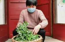 江西赣州赣县区：“米果大嫂”触“网”记