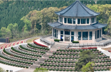 江西南昌：别样祭扫一样情