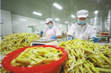 江西乐安：从产品加工到文旅融合 竹笋铺就绿色致富路