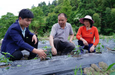 刘林才：扎根乡村 带头致富