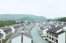 江西浮梁：山上茶飘香 山下建新房