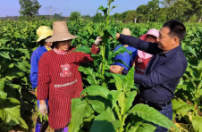 江西永丰：技术指导面对面 助农增收心连心