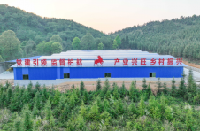 江西莲花：党建引领产业振兴 走出共同富裕路