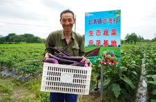 江西鹰潭龙虎山：闲地变“金地” 市民来种地