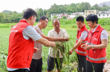江西赣州赣县区：齐心协力防汛救灾 整合力量抓实农业复产