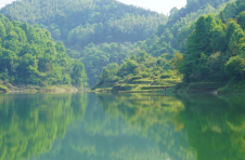 江西上栗：一个水源地保护村的生态“绿文章”