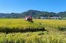 江西萍乡湘东区：播种在希望的田野上