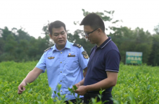 江西上犹：“一站式”服务跑出“加速度”