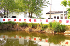 江西湖口：小蜗牛大产业 爬出村民致富路