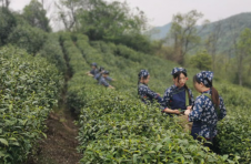 江西湖口：头雁效应“种”出幸福来