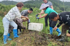 江西莲花：蚯蚓养殖 循环致富